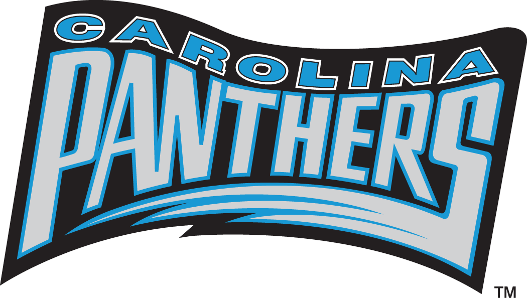 Carolina Panthers 1995 Wordmark Logo t shirts DIY iron ons